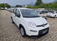 Fiat Panda Hybrid 1.0 FireFly