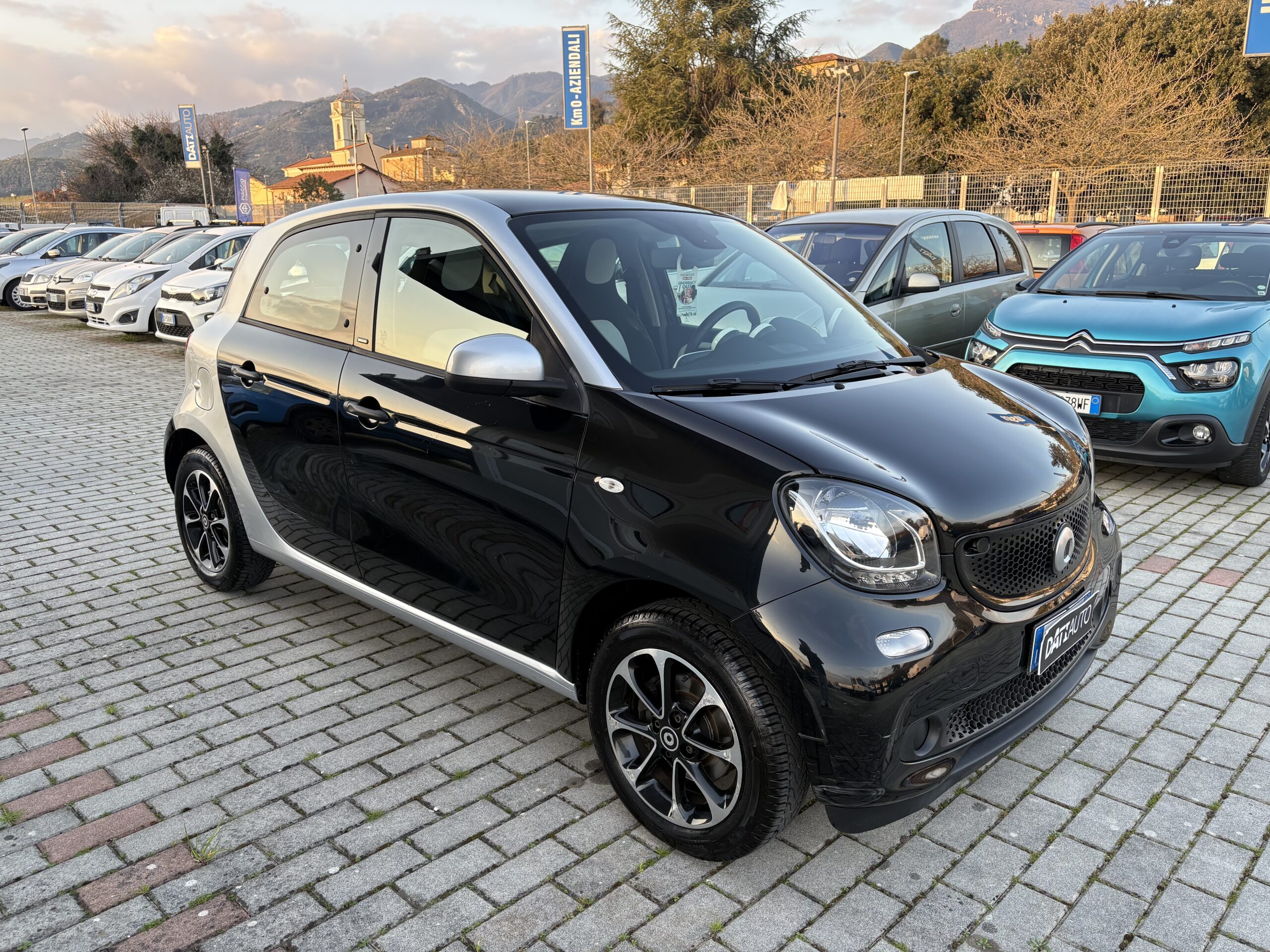 Smart Four Four Passion